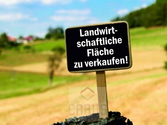 Landwirtschaftliche Fläche zu verkaufen