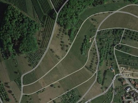 1 ha landwirtschaftliche Nutzfläche mit Obstbäumen, wenigen Weinreben gegenüber dem Elsass im Markgräflerland in Feuerb…