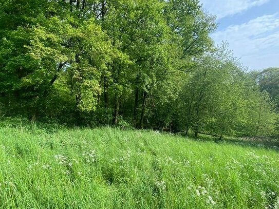 Kleine Grünlandfläche in Hennef