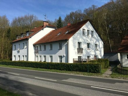 TOP sanierte, möblierte 1 1/2-Zimmer-Wohnung bei Hamburg-Bergedorf