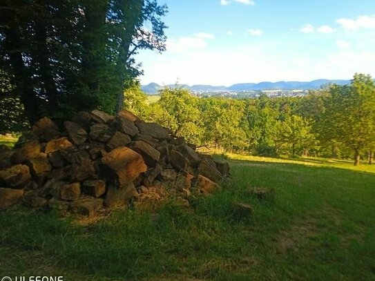 Freizeit Grundstück, Wiese mit Baumbestand