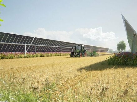 Verpachtung einer landwirtschaftlichen Fläche innerhalb eines Agri-PV-Projektes in Selchow, 70 Hektar Agrarfläche südli…