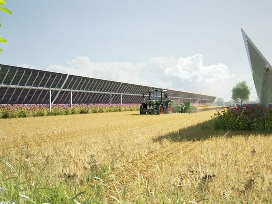 Landwirt*in gesucht für ein Agri-PV-Projekt in Selchow, mit Leuchtturm-Charakter, auf 70 Hektar Agrarfläche südlich vom…