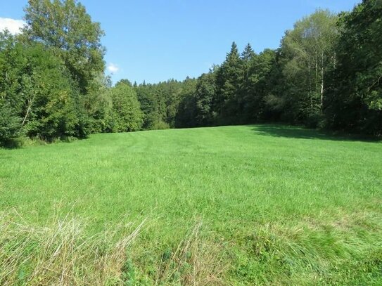 Freizeitgrundstück mit Waldbestand in absolut ruhiger und sonniger fast Alleinlage Nähe Schloss Egg