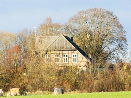 denkmalgeschütztes Gutshaus auf weitläufigem Grundstück im Landkreis Rostock