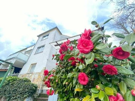 Der Garten erwacht in Sonnenberg