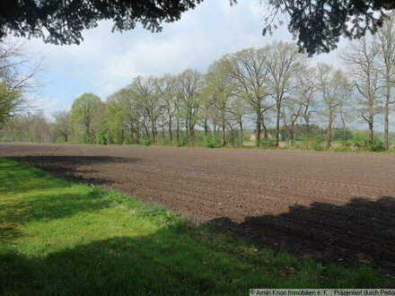 Ca. 8,26 ha landwirtschaftliche Nutzfläche, überwiegend Ackerland am Küstenkanal in Husbäke, Landkreis Ammerland