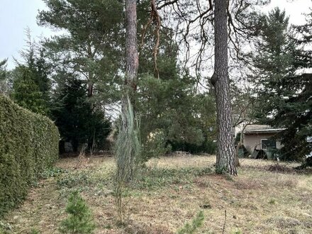 Traumgrundstück in ruhiger Seitenstraße von Mahlsdorf-Süd