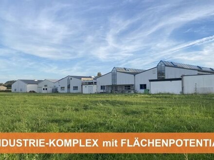 TOP-BAUSUBSTANZ ::: INDUSTRIE-KOMPLEX mit VIEL FLÄCHENPOTENTIAL