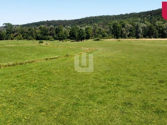 WINDISCH IMMOBILIEN - Bauträger aufgepasst: Grundstück als Ausgleichsfläche für Bauvorhaben in FFB!