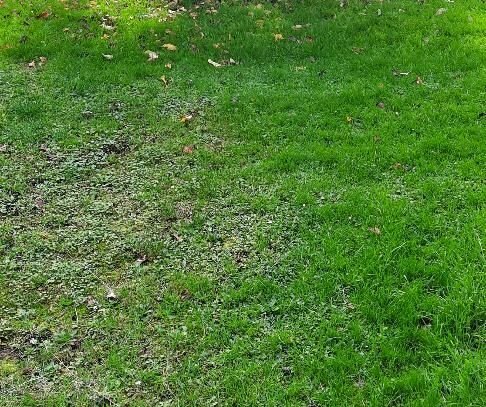 Bauplatz / Baulücke am Teich im Altstadtkern von Mengeringhausen