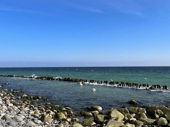 Direkt am Meer, unverbaubarer Blick auf die Ostsee