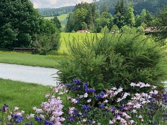 DAS IST DOCH MAL WAS ANDRES!!!! Leben inmitten der Natur - Freundliches Appartement mit herrlichem Bergblick!!!!