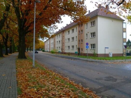 Forst, 2-Raumwohnung am Freibad, Nähe Rosengarten