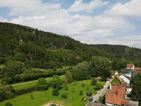 Charmantes Fachwerkhaus mit Einliegerwohnung, viel Platz, viel Potenzial direkt am Naturschutzgebiet