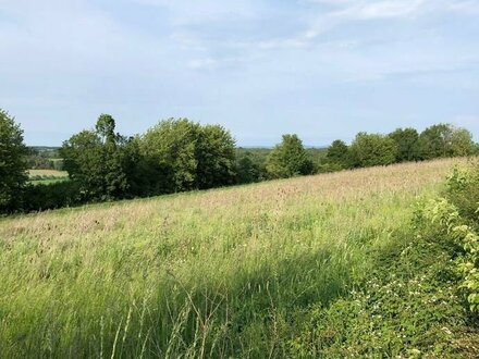 Wohnen "AM REHBERG" mit Blick auf den Arber