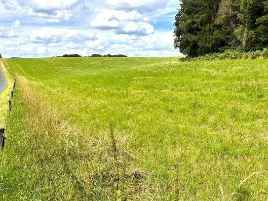 Grünlandfläche in Wermelskirchen