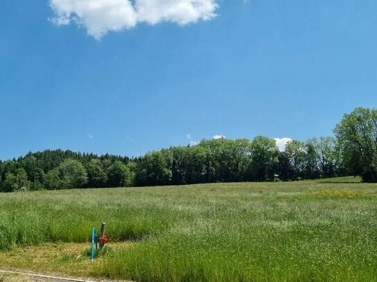 Sonniges, ländliches, idyllisches Baugrundstück in leichter Höhenlage in Bad Wurzach