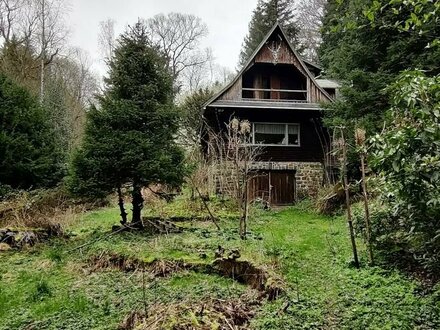 Großes naturbelassenes Grundstück in Sonneberg-Hüttensteinach (Thüringen)