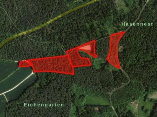 Verkaufe 3,60 ha Wald in Lindenhardt (BT)