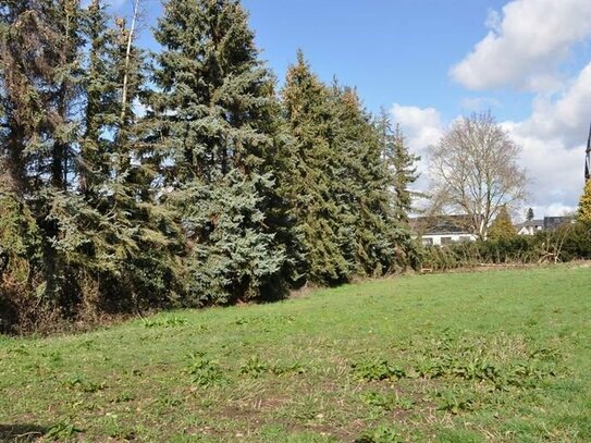 Erftstadt: 958 m² Baugrundstück (Baulücke)-Stichstraße in gewachsener Wohnlage!