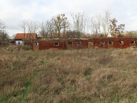 Bauernhaus mit Scheune und grosser Nutzfläche wartet auf Handwerker/Profis zur Vollendung!