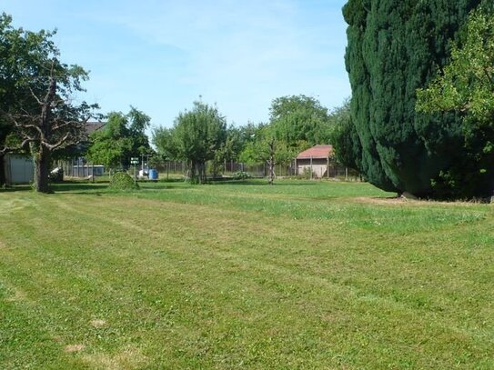 Neubau-Doppelhaushälfte in ruhiger Lage