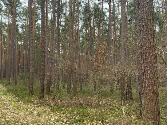 Landwirtschaftliches Objekt in Langenzenn