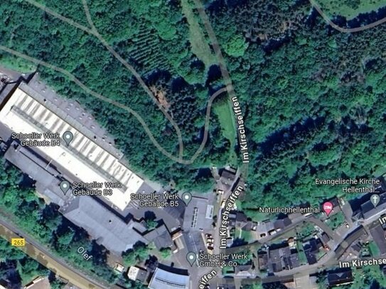 Hellenthal - in zentraler Lage jüngerer Fichtenbestand mit randlichen Laubbäumen und Bachlauf