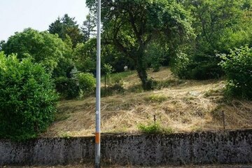 Sie suchen nach Ruhe und die Nähe zur Natur?