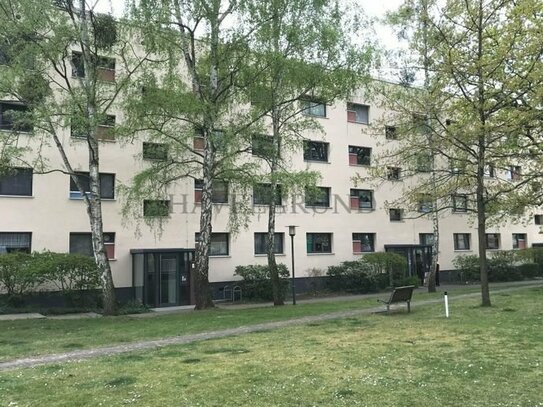 Vermietete 3-4 Zimmer Wohnung - am Volkspark Potsdam