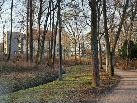 Wiesenflächen zur Beweidung und Mahd