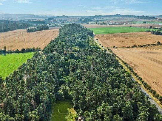 Waldgrundstück in Quedlinburg mit Gartenbungalow