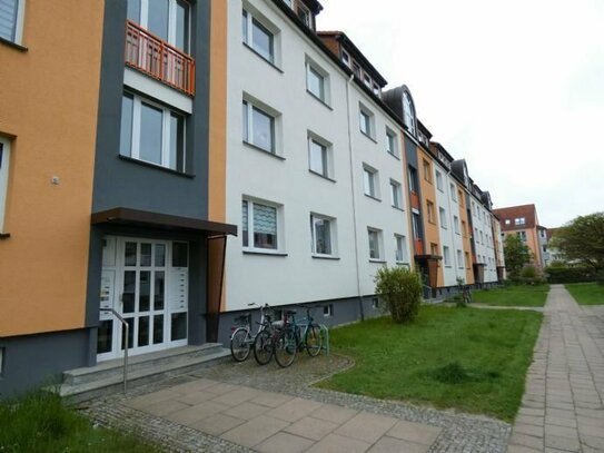 RESERVIERT! Tollensesee und Innenstadt um die Ecke! Helle 2 Raum Wohnung sucht neuen Mieter