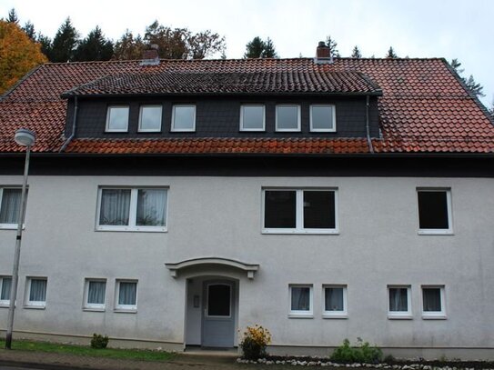 Renovierte 3 Zimmer Wohnung im 1. OG in Altenau