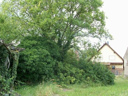 Gemeinde Briesen (Mark): Schönes Baugrundstück in ruhiger Ortsrandlage mit Südausrichtung, prov.