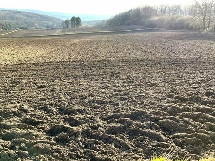 34 ha Ackerland und 4 ha Wald in Wolken und Kobern-Gondorf, Rheinland-Pfalz