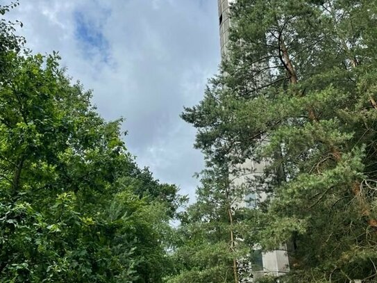 Rapunzel-Turm auf 2 Hektar Wald und Wiese