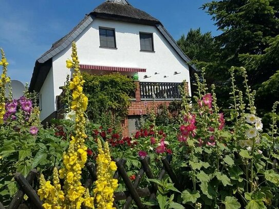 Inselfeeling pur - idyllisches Reetdachhaus mit zwei zusätzlichen Ferienwohnungen und Nebengelass zwischen Bodden und O…