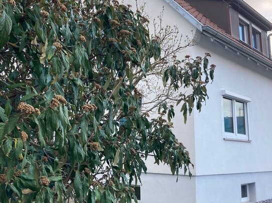 Ehrliches grundsolides Wohnhaus mit Halle und großem Grundstück