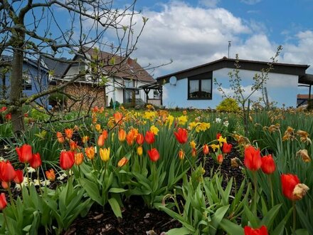 Gepflegtes Einfamilienwohlfühlhaus in Dackenheim