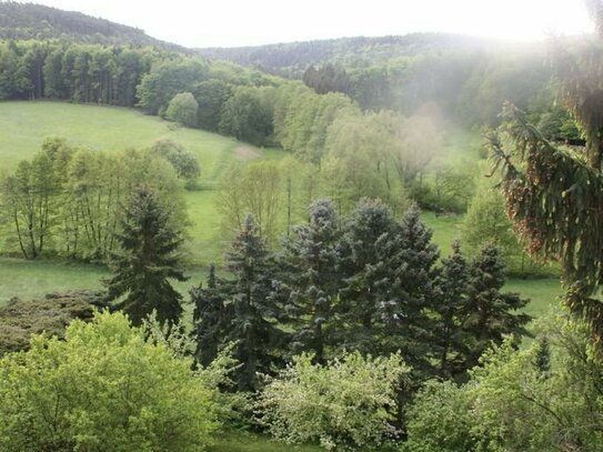 Wohnung mit Balkon zum Einziehen und Wohlfühlen! Heubach