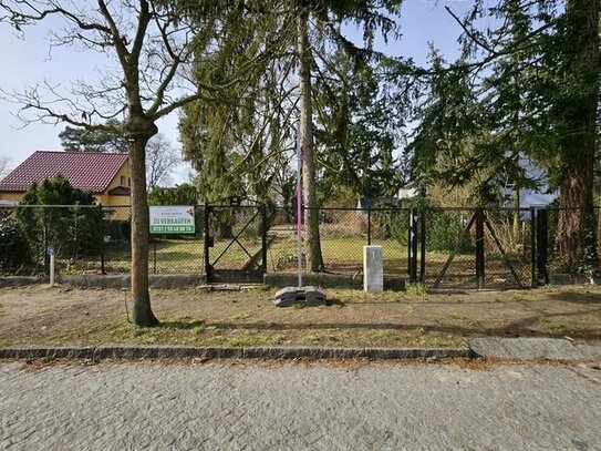 Traumhaftes Grundstück 940 m² Eichwalde Idyllische Lage fußläufig zum Wasser für Ihr Einfamilienhaus