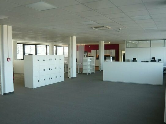 Arbeiten in freundlicher Umgebung - ca. 373m² Bürofläche mit Kühlung
