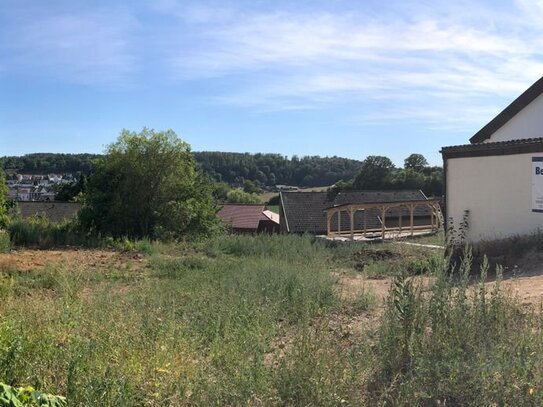 FILETSTÜCK einer S/W-DHH mit Weitblick