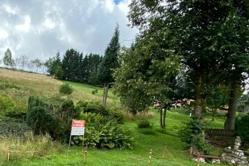 Grundstück im Thüringer Wald - Landkreis Sonneberg Gemeinde Haselbach