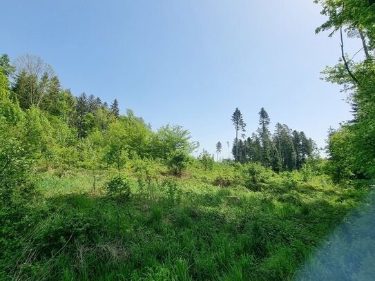 große, zusammenhängende Waldfläche im Ortsteil Rogglfing/Wurmannsquick