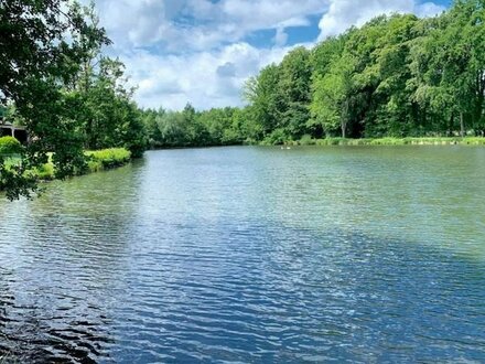 Großer Teich in einmalig idyllischer, ruhiger Lage Seeliegenschaft in Stelle - Ashausen