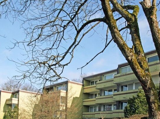 Sankt Andreasberg -Erholung pur! 2 Zimmer Whg, großer Südblk, Garage