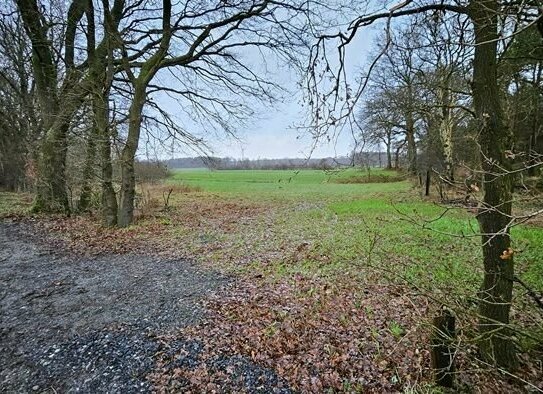 immo-schramm.de: Landflächen in/um Driftsethe